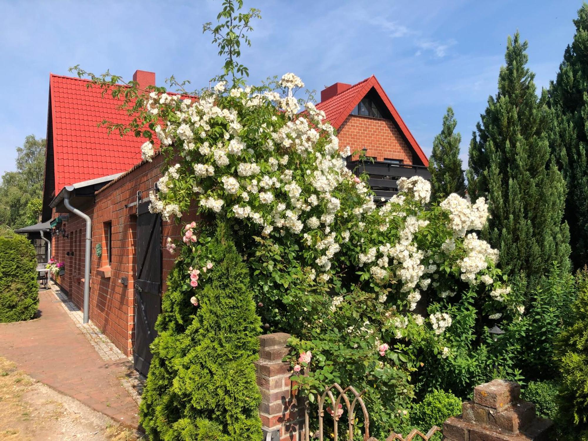 Landhaus Schlunt Wustrow  Exterior photo
